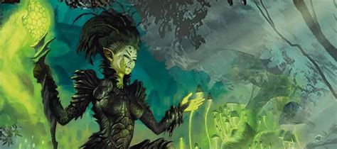 druid bard multiclass|druid sorcerer multiclass 5e.